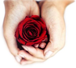asfasleia zwhs hands with rose